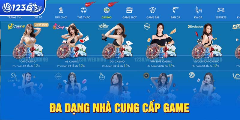 Các nhà cung cấp lớn, mang sản phẩm chất lượng tới cho 123B