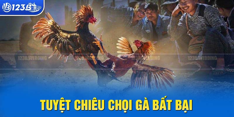 Nắm chắc các luật chơi từ nhà cái