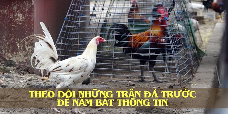  Theo dõi những trận đá trước để nắm bắt thông tin 